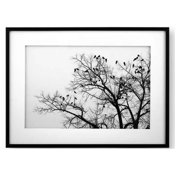 تابلو لوتوس مدرن درخت و پرنده ها (FLOCK OF BIRDS ON TREE)